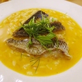 料理メニュー写真&nbsp;本日の魚のソテー 魚の出汁ソース 単品