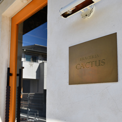 BRACERIA CACTUS ブラチェリアカクタスの雰囲気2