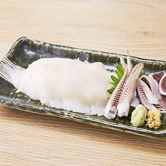 スルメイカの姿造り