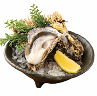 【兵庫県室津産】貝柱が大きくプリプリな食感の活〆牡蠣