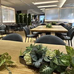 リトルグリーンカフェの雰囲気1