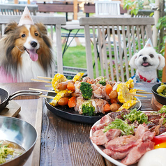 SUMI TERRACE スミテラスの雰囲気3