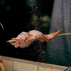 うおうお 横浜駅前店の特集写真