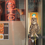 会えたら幸運♪非常勤務店長リープちゃん！気まぐれで出勤しております。