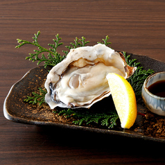 広島産活〆牡蠣(1個)