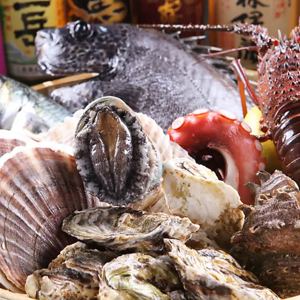 市場直送の新鮮な魚料理を豊富にご用意！