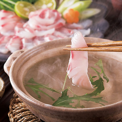 瀬戸内しまなみ活魚 いよ水産 本店のコース写真