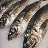 裏なんば ひでぞう 松山店のおすすめ料理2