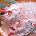 金沢おでんと地酒 地魚 海鮮 あなば 片町店のおすすめ料理1