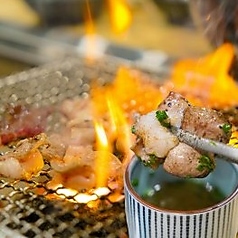 だしトロテッチャン