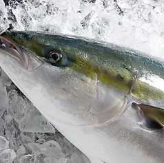 食肴旬菜　富一の写真2