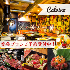 Calvino カルビーノ特集写真1