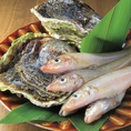 地元瀬戸内海で獲れた鮮魚や愛媛産地鶏など新鮮食材を使ったお料理の数々は食べる価値あり！