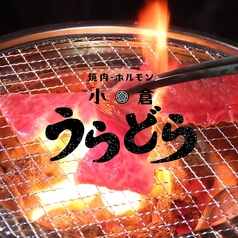 焼肉 ホルモン 小倉うらどらの写真