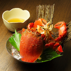 至福のひととき和膳しらくの特集写真