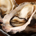 料理メニュー写真&nbsp;廣島県産牡蠣(4～5粒)