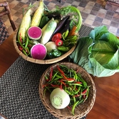 DINING BAR PAHANA パハナの雰囲気3