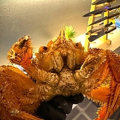 食肴旬彩 富次のおすすめ料理1