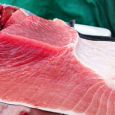 国内養殖生本マグロ