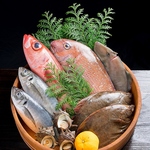 のどぐろなどの鮮魚をお召し上がりいただけます！