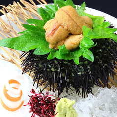 〈羅臼〉生うにお造り