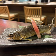 夏季限定！浦霞酒粕育ちの『宝いわな』塩焼き