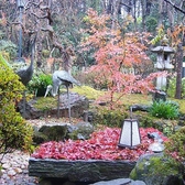 桜茶屋 東岩槻の雰囲気3