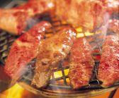 ごちそう特急 大宮南中丸店の詳細