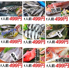 日替わりの超オススメ鮮魚の刺身