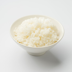白ごはん