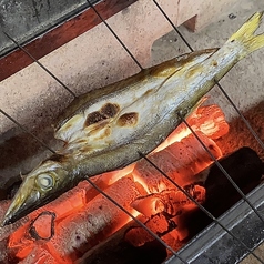 二代目政次郎Masajiroの写真