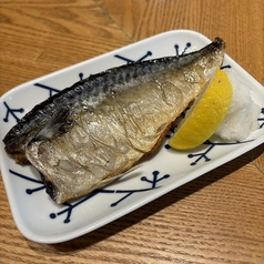 鯖(サバ)