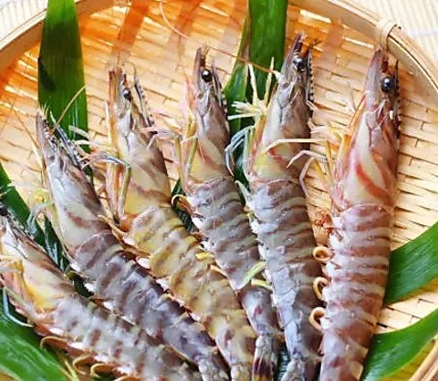 1月新春県産車海老コースおすすめです！売り切れ御免でお願い致します。