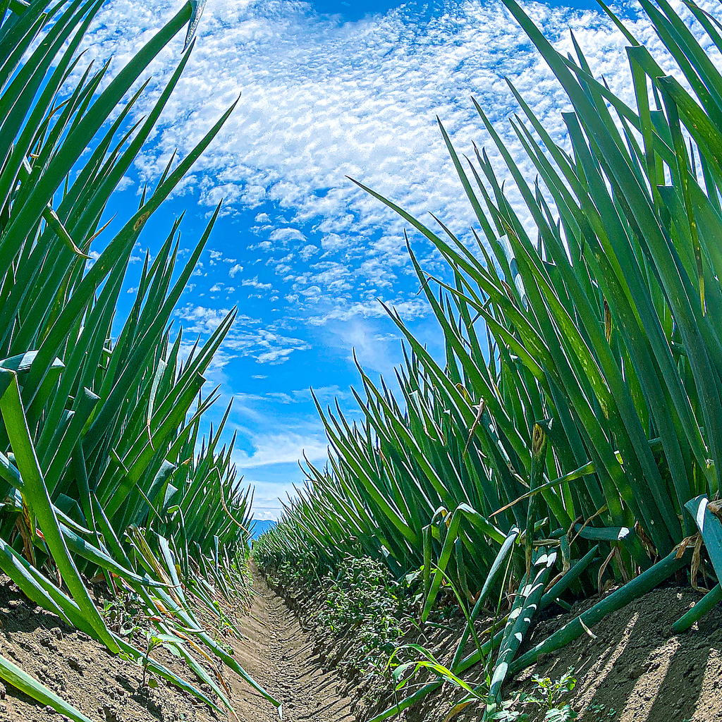 居酒屋 みつぶ 松本駅前店の写真ギャラリー