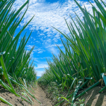 居酒屋 みつぶ 松本駅前店