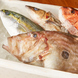 毎朝佐島漁港で仕入れる朝獲れの新鮮な旬魚