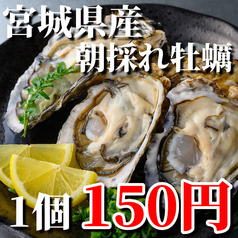 産地直送/朝まで海の中！生で食べれる超新鮮/宮城県産【朝採れ生牡蠣150円】