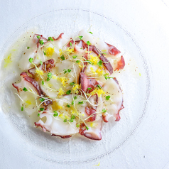 SEAFOOD BAR HAMA ハマの特集写真