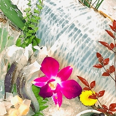 【全席喫煙/個室◎2.5H生付飲み放題】レタしゃぶと本まぐろ きばらし 町田店特集写真1