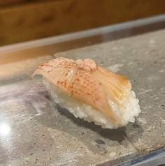 本日のおすすめ