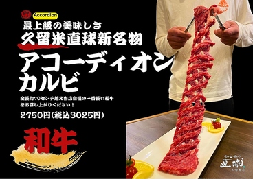 焼肉 銀しゃり 直球 久留米店のおすすめ料理1