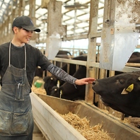 牛の生産からお肉まで