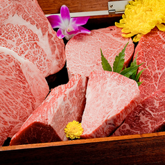 焼肉 一頭牛の特集写真