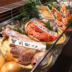 お魚総本家 銀座店の特集写真