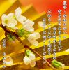 天神の和食料理屋 あおみやのURL1