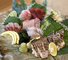 鮮度抜群！鮮魚お造り7種盛り！