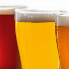 クラフトビール800円から