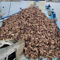 知られざる名産地！岡山産カキで楽しむ豪快BBQ