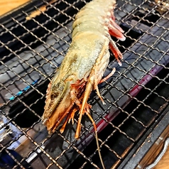 焼きエビ