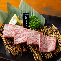 中野肉食堂の特集写真